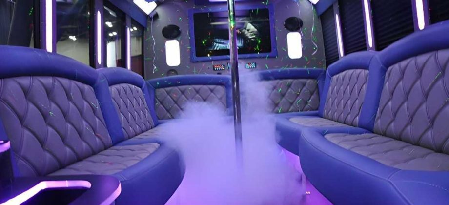20-passenger-party-bus-with-pole-qgf2i07kvccweoli1bx9wvoful98eklm8mzg9rc5m0